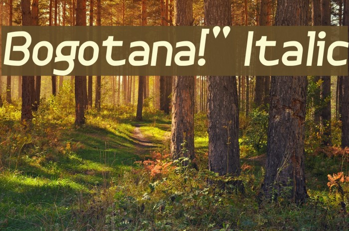 Bogotana!` Italic Font examples