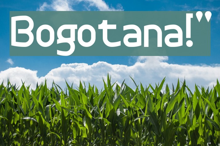 Bogotana!` Font examples