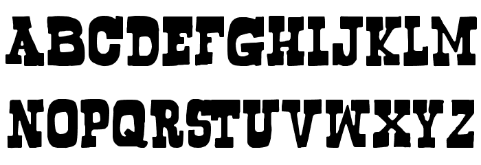 bogusflow font