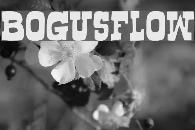 Bogusflow Example 1