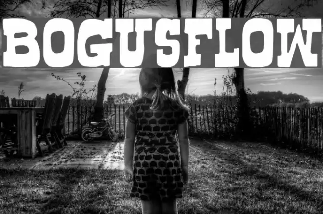 Bogusflow Example 2