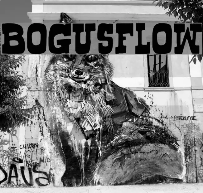 Bogusflow Example 3