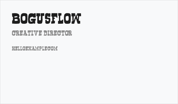 Bogusflow Business Card