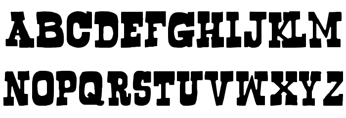 Bogusflow Font LOWERCASE