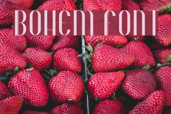 Bohem Font examples