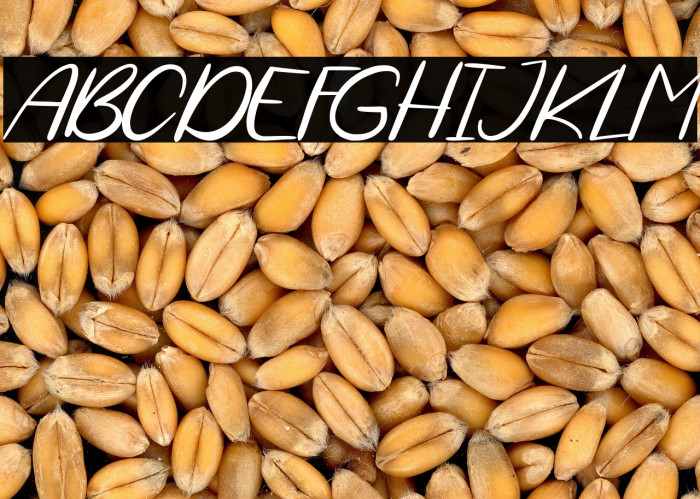 Bohemia Cerish Example 1