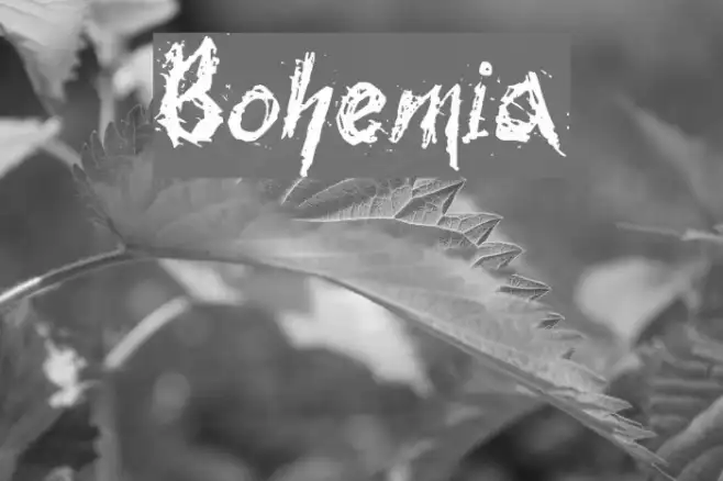 Bohemia Example 2