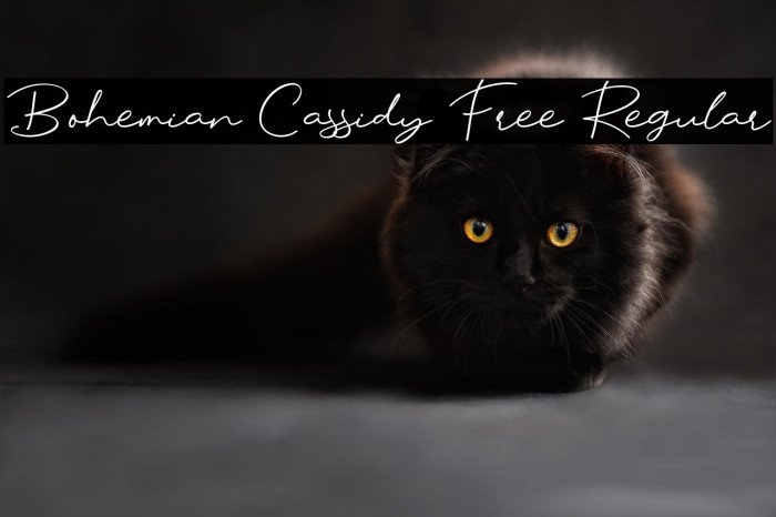 Bohemian Cassidy Free Regular Example 2