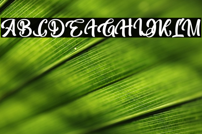 Bohemian Melody Example 1