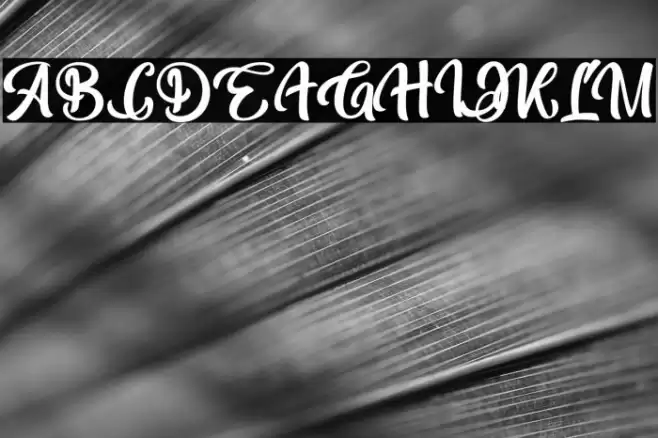 Bohemian Melody Font examples