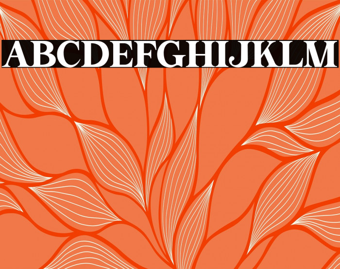 Bohemian Soul Regular Example 1