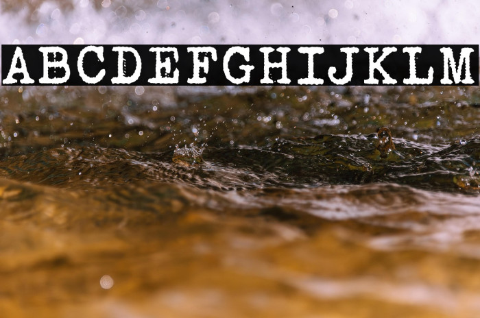 Bohemian Typewriter Example 2