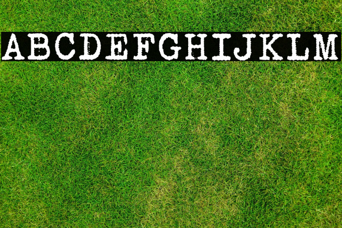 Bohemian Typewriter Example 3