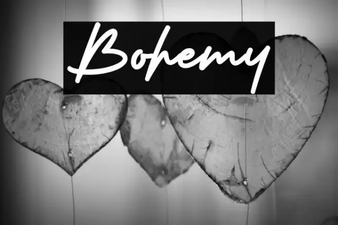 Bohemy Fuentes examples
