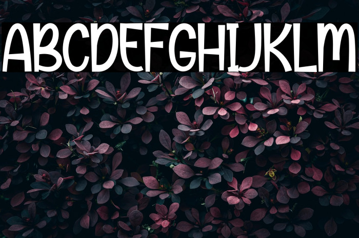 Boho Chubby Example 1