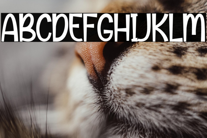 Boho Chubby Example 2