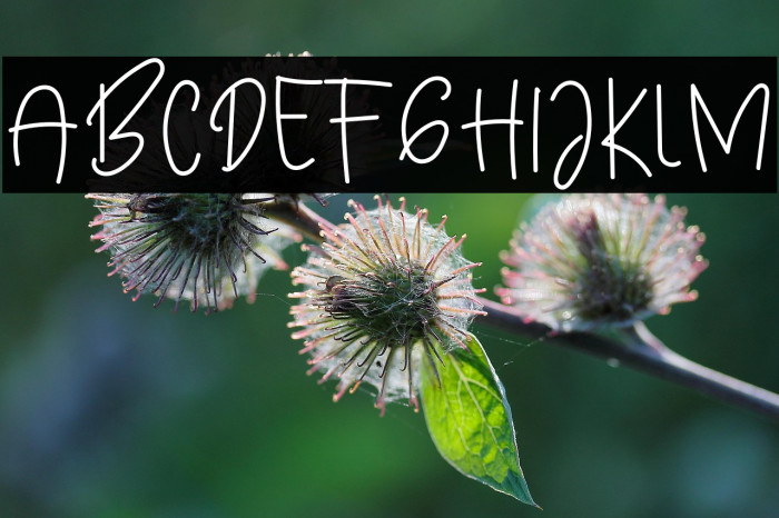 Boho Flowers Example 3