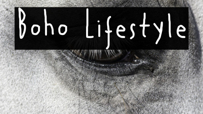 Boho Lifestyle Example 3