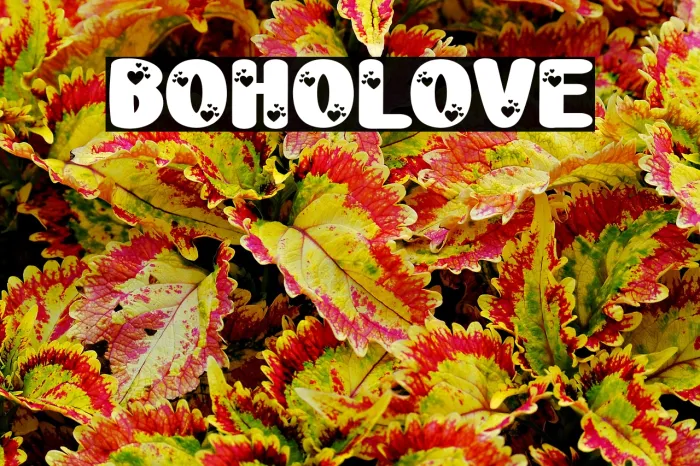 Boho Love Example 3