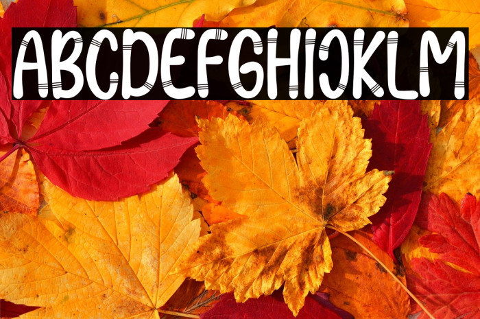 Boho Lover Example 2