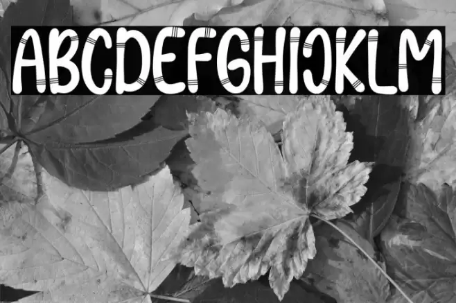 Boho Lover Font examples