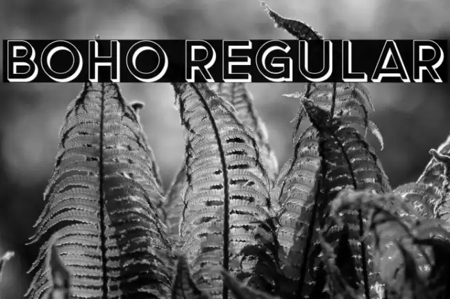 Boho Regular Font examples