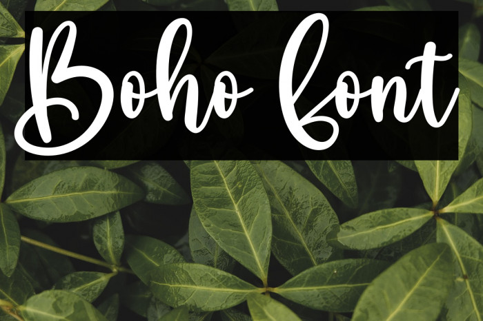 Boho Example 1