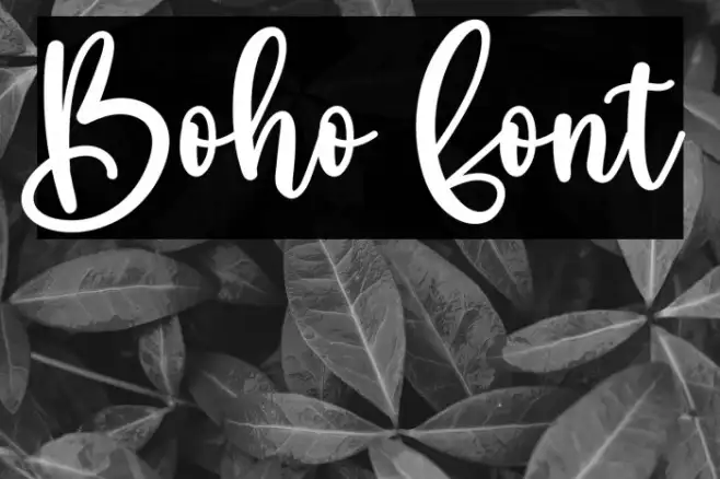 Boho Example 1