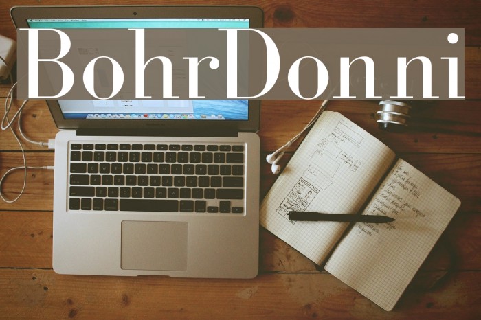 BohrDonni Font examples