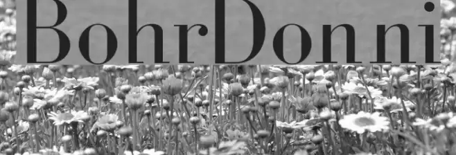 BohrDonni Font examples