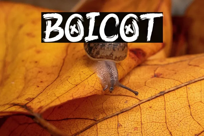 Boicot Example 3