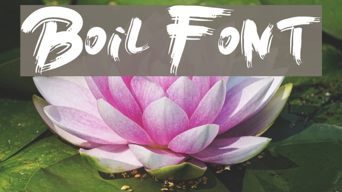 Boil Font examples