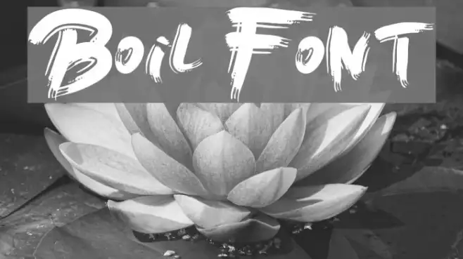 Boil Example 1