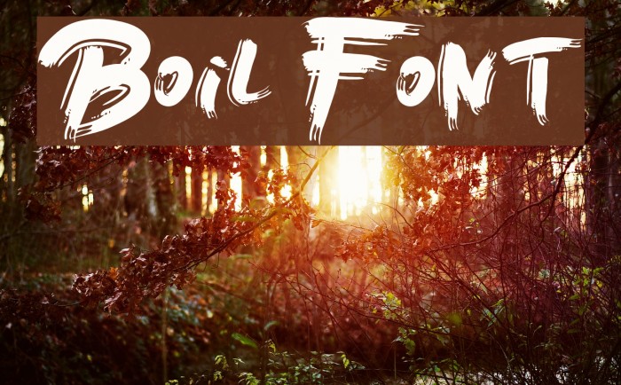 Boil Font examples