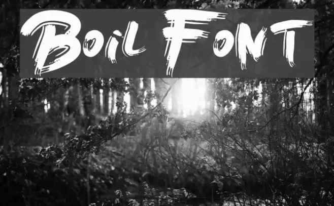 Boil Example 3