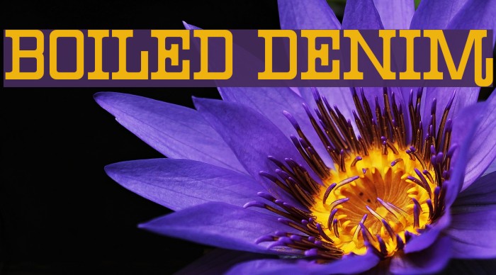 Boiled Denim Example 3