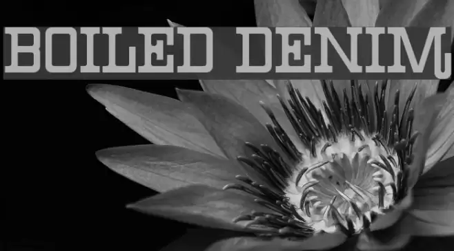 Boiled Denim Font examples