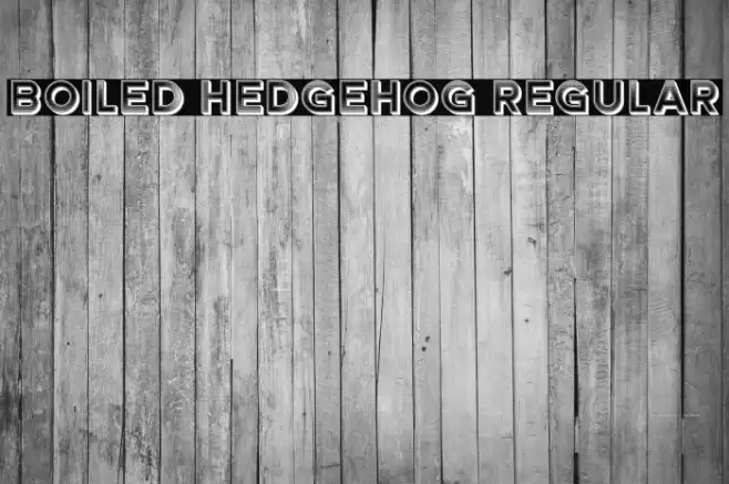 Boiled Hedgehog Regular Font examples