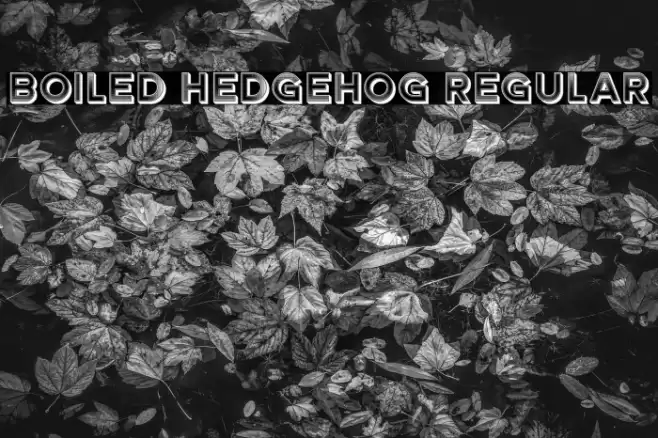 Boiled Hedgehog Regular Font examples