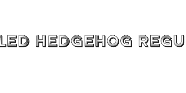 Boiled Hedgehog Regular Logo
