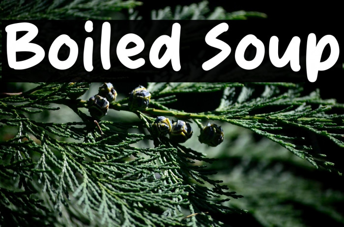 Boiled Soup Example 1