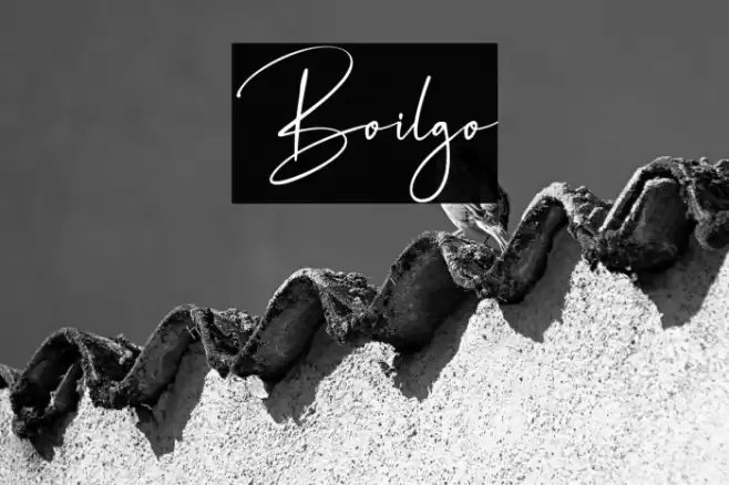 Boilgo Font examples