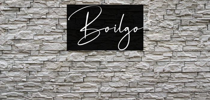 Boilgo Example 3