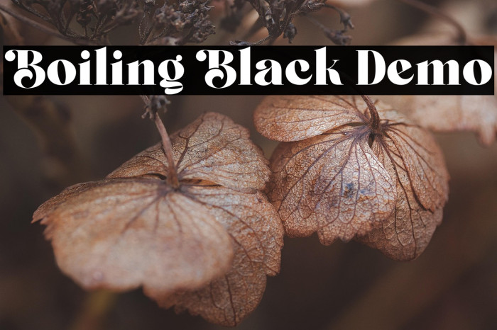 Boiling Black Demo Example 3