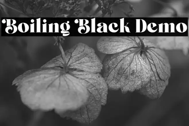 Boiling Black Demo Example 3