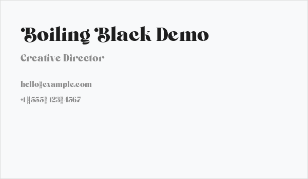 Boiling Black Demo Business Card