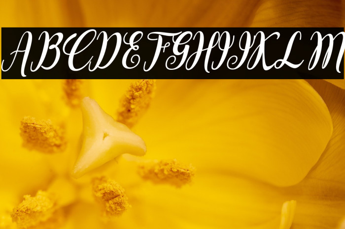 Bointang Cifoy Example 1