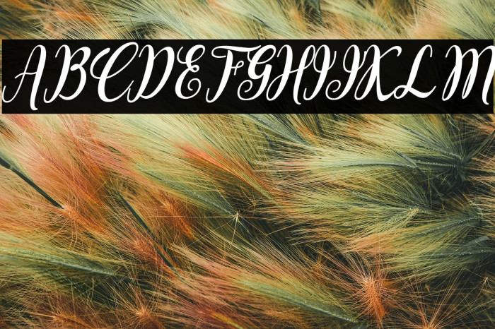 Bointang Cifoy Example 3