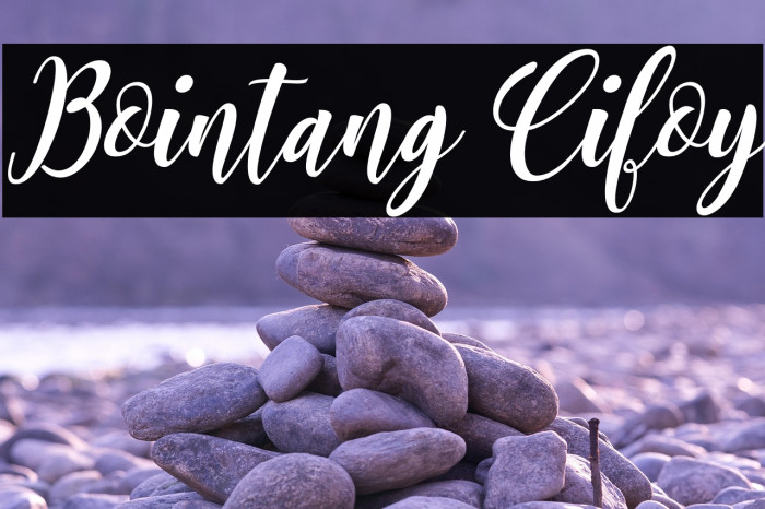 Bointang Cifoy Example 1