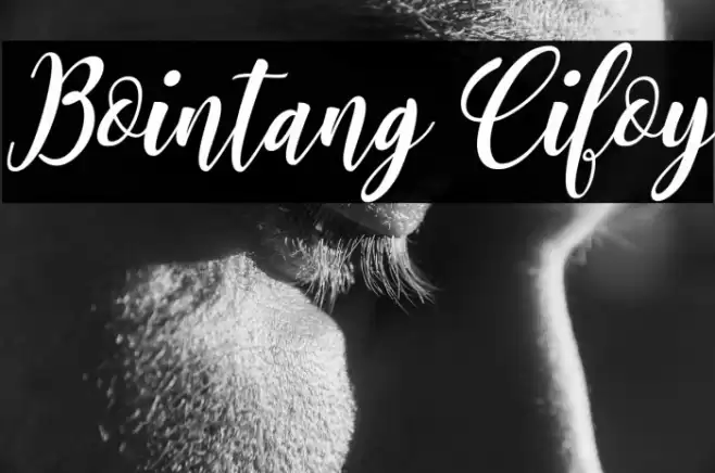 Bointang Cifoy Font examples